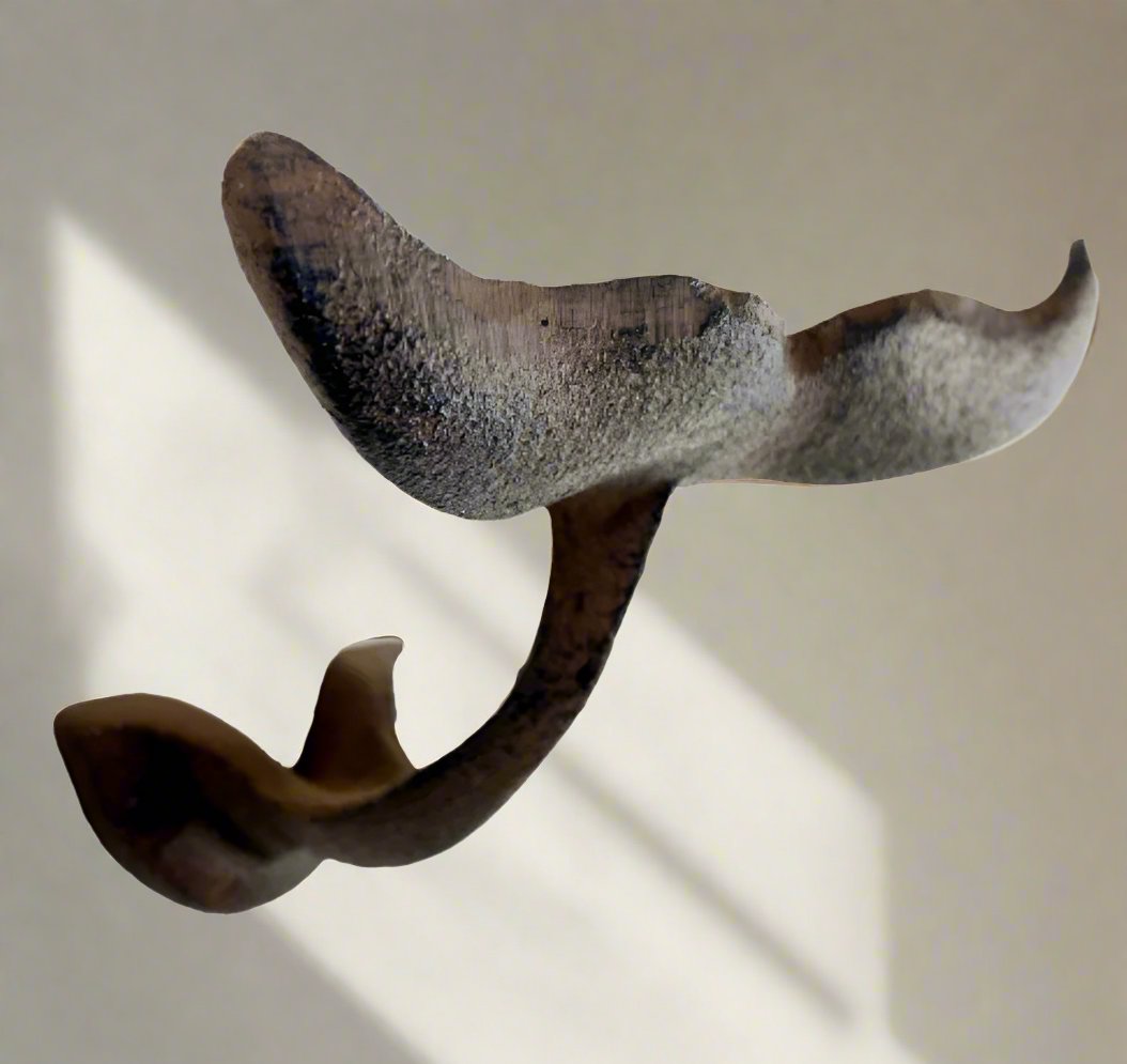 Cast Iron Whale Tail Wall Hook