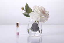 Load image into Gallery viewer, TEAR DROP TEA ROSE IN CLEAR GLASS - PINK BLUSH - STR03
