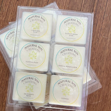 Load image into Gallery viewer, Sample Pack Soy Wax Melts
